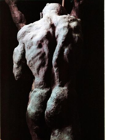 Agrandir Photo du post "Un dos à tomber par terre" de Thierry Casters